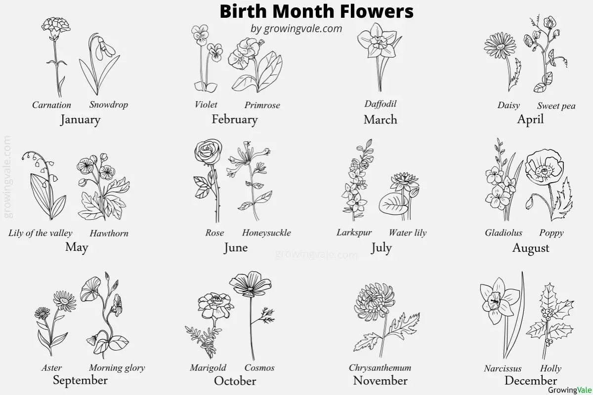 birth month flowers