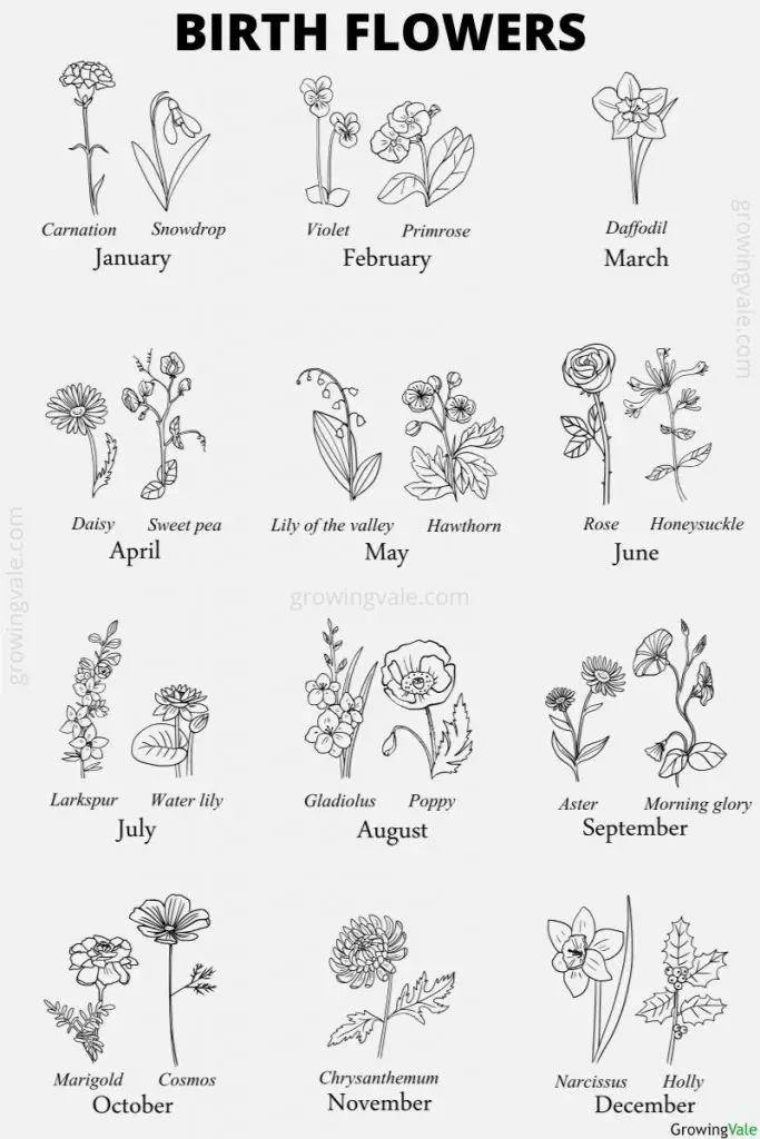birth flower chart